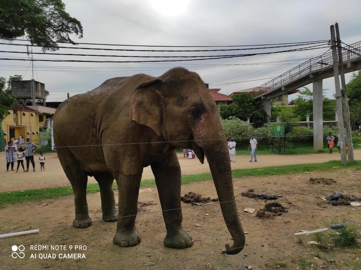 Geethani Tourist Home Polonnaruwa Zewnętrze zdjęcie