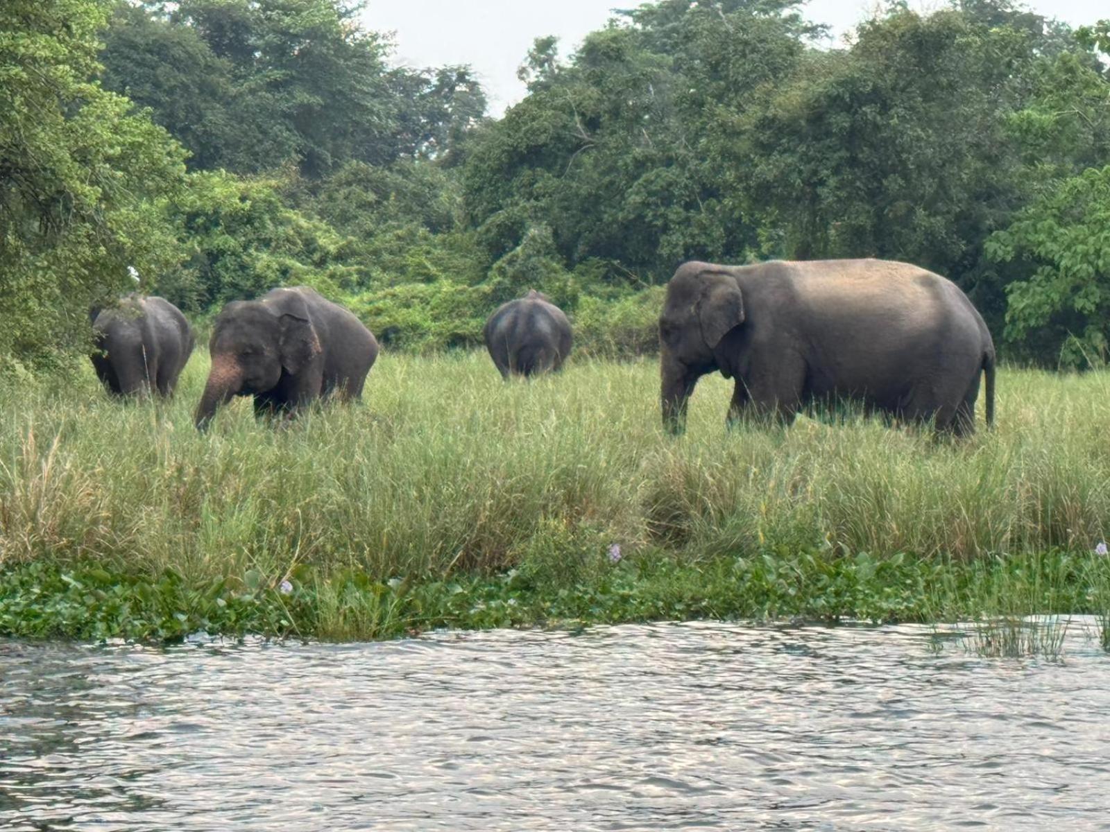 Geethani Tourist Home Polonnaruwa Zewnętrze zdjęcie